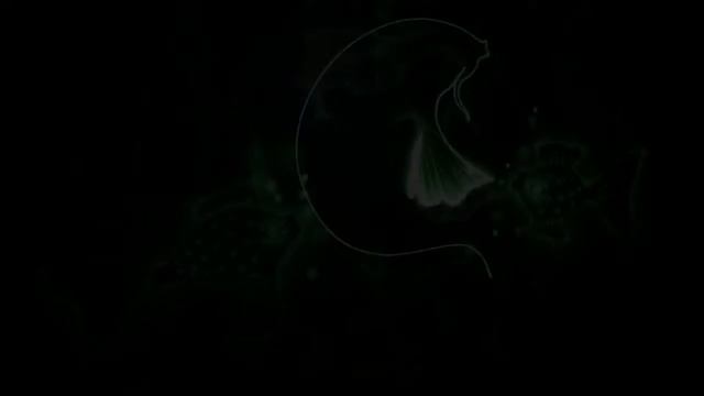 Световое шоу Суворовой Юлии Нижний Новгород
