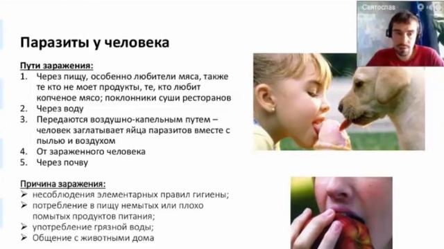 СЫРОЕДЕНИЕ. Где, когда и как можно заразиться глистами. Важно! смотреть онлайн