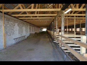 Особенности конструкции родильного помещения для КРС. КФХ Александра Москвина.