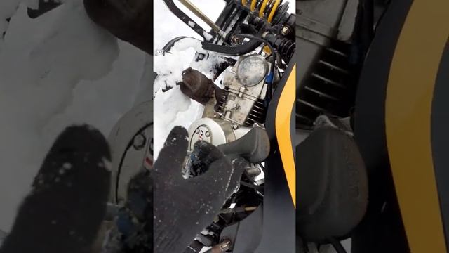 Динго 125 смотреть онлайн