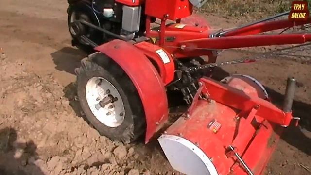 ? Посадка озимого чеснока и лука под мульчу / Planting garlic under mulch смотреть онлайн