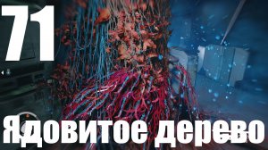 Прохождение игры Starfield №71 - Ядовитое дерево