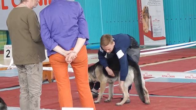 DSCN7644 смотреть онлайн