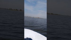 Прогресс 4 Сузуки 30