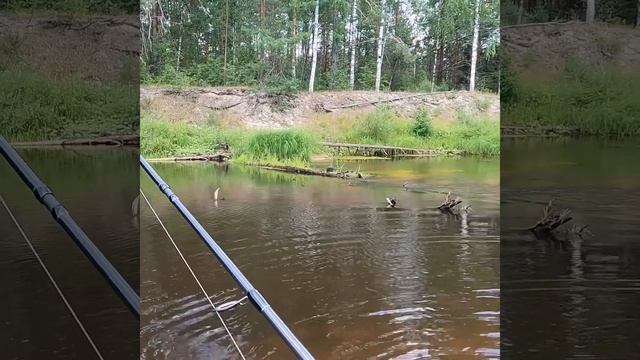 За щукой на блесну «RED» смотреть онлайн