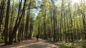 Малышка в парке попросила богача сделать самолетик из бумаги, а едва взяв лист в руки, он похолодел