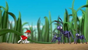 PAW Patrol | Pups Save Tiny Marshall | Rescue Episode | PAW Patrol Official & Friends!