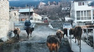 Georgia. Дорога в Сванетию. Местия . Ингурская ГЭС. Красивая дорога.