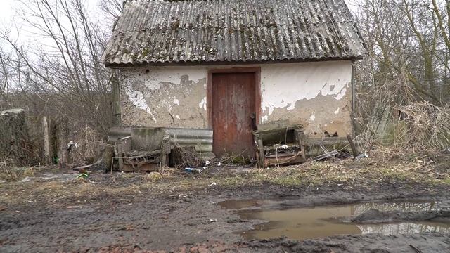 Негородские приключения. Бельдяжки