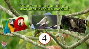 Викторина про животных и интересные факты