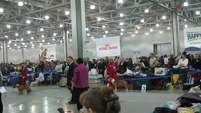 BigStaff.Ru: Евразия 2010 - 1-ое место Гермес Виталэнд смотреть онлайн