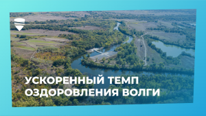 Волгоградская область вышла на сверхпроектный темп восстановления низовий Волги