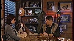 Диалоги о Животных (РТР, 31.12.2000) Морские слоны