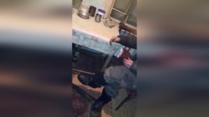 СЛОВИЛ БЕЛОЧКУ - ВЫ ЕЕ ВИДИТЕ? #СЛОВИЛБЕЛКУ