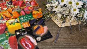 ПЕРЦЫ - НОВИНКИ от АФ Сибирский сад.