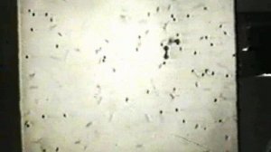 МОДЕЛЬ ИДЕАЛЬНОГО ГАЗА.МОЛЕКУЛЯРНАЯ ФИЗИКА