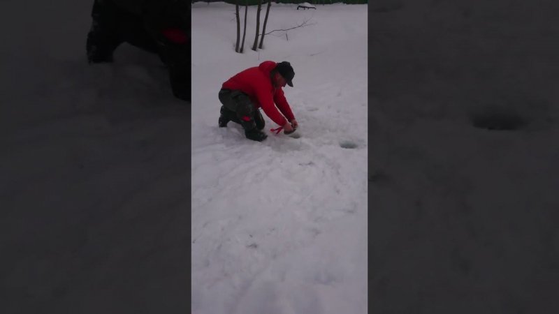 Прижала и бросила
