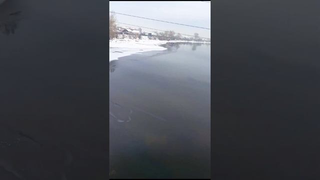 День Сибиряка, точнее Сибирячки ❄⛄?♀️♀️ Я в Сибири, люблю свою Сибирь, и что тут можно снимать ?