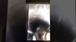 Дети падают в открытые люки.