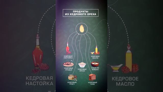 Дальневосточный АПК. Таёжные промыслы
