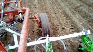 Первое рыхление озимого чеснока трактором Т-16 мг