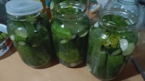 Квашеные огурцы на зиму. Самый простой рецепт.