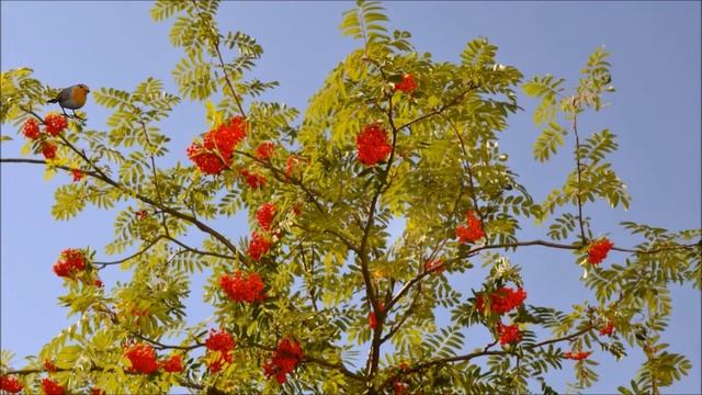 Астрологические события и значимые дни 2019 года. смотреть онлайн