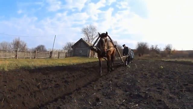 Лошадь или ТРАКТОР? Лошадка пашет ОГОРОД! Жизнь в ДЕРЕВНЕ! смотреть онлайн