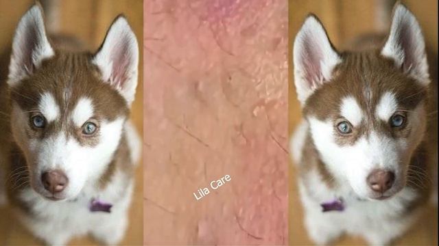 Todos los días me quedo en casa #DM16 смотреть онлайн