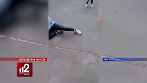 Избиение школьницы
