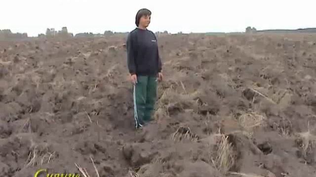 Причины истощения почв