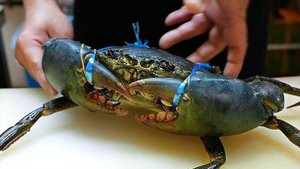 ГИГАНТСКИЕ КРАБЫ. Крабовые пельмени. Окинава Морепродукты Япония.