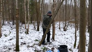 Солонец для зайца