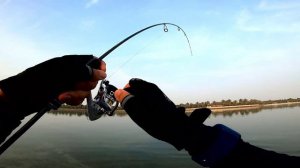 FIELD TESTING EP08 | Mavllos Delicacy S602 Ultralight ROD | Ryobi Smap Mini 800 on Shore Jigging