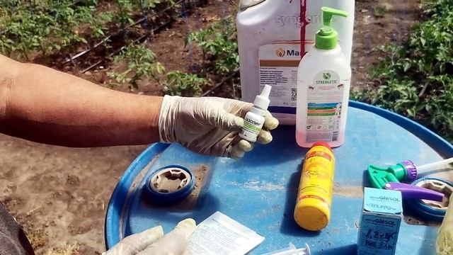 ПРАВИЛЬНОЕ опыление томатов в теплице , как УВЕЛИЧИТЬ завязь помидор смотреть онлайн