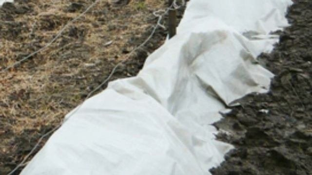Укрываем виноград на зиму