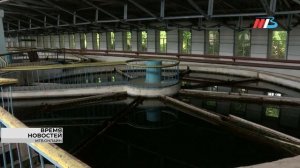 Причиной зловонного запаха питьевой воды в Волгограде стало цветение Волги