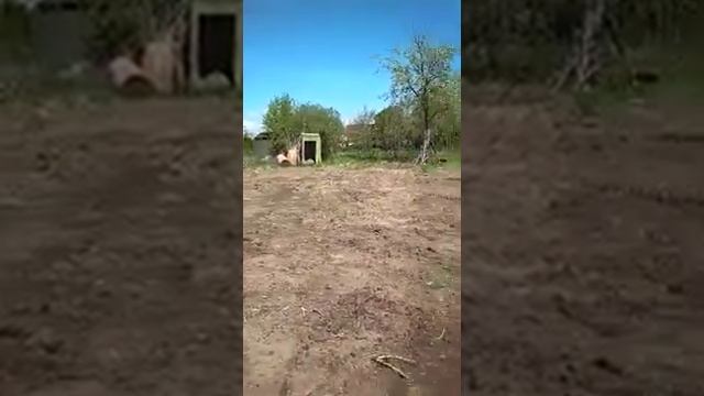 Как выравнил бульдозер наш участок смотреть онлайн