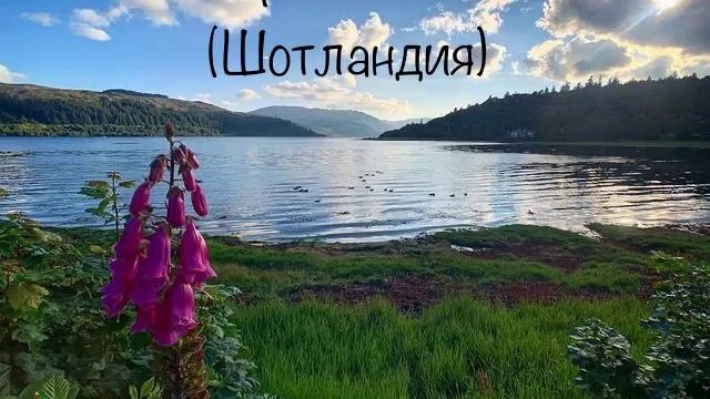 Мы уверены, такого подарка Вы еще не видели