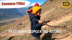 Весенняя дорога по Алтаю. Каменные грибы. Дронозарисовка |  | Cinematic Travel Video (4K)