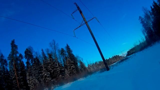 Охота на зайца 2017 (закрытие сезона) смотреть онлайн