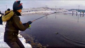 AREA TROUT в Беларуси. ЛОВЛЯ прудовой форели НА СПИННИНГ #34