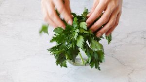 ?КАК СОХРАНИТЬ ЗЕЛЕНЬ СВЕЖЕЙ