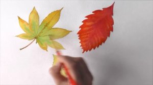Уроки рисования. Как нарисовать осенние листья деревьев акварелью | Art School