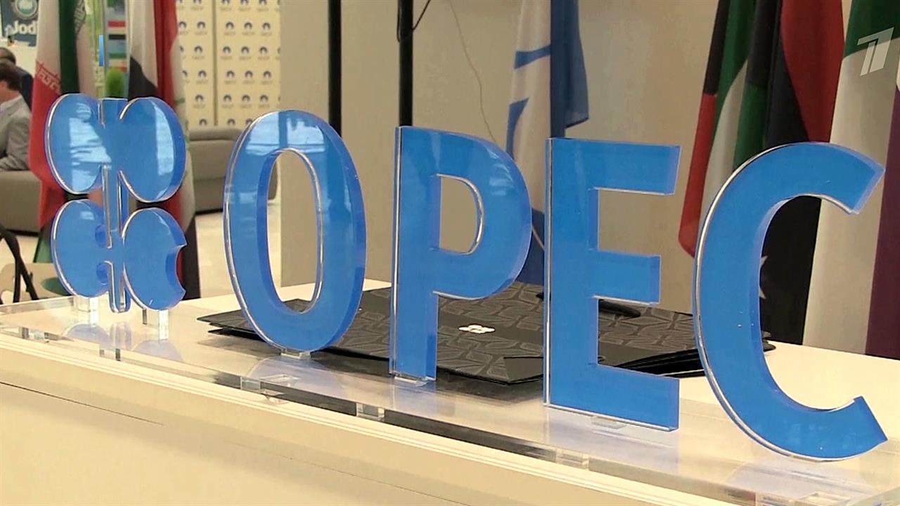 Катар решил выйти из Организации стран - экспортеров нефти