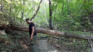 Как научиться метать гвоздь.