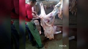 Компания рога и копыта