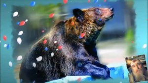 Гусляр Владимир Капункин