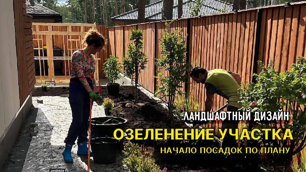 Озеленение участка - начало посадок