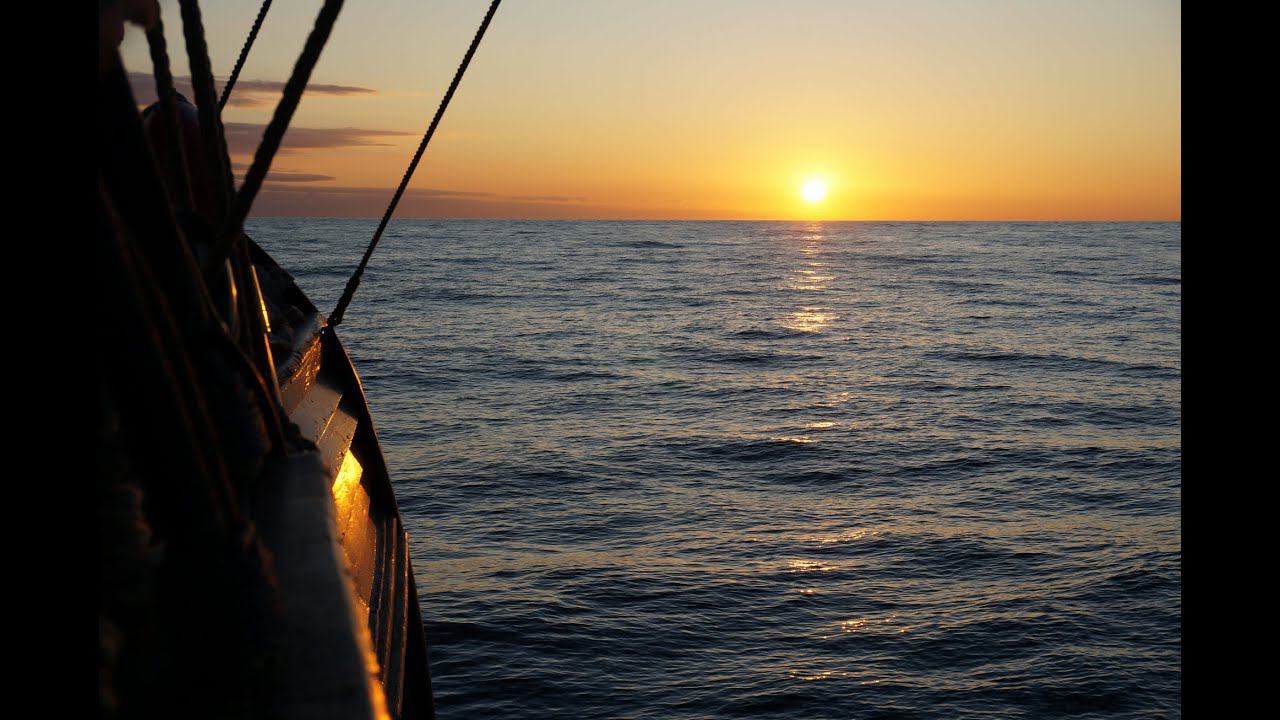 Биохимия моя смотреть онлайн